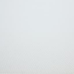 ที่นอน รุ่นฟอเรสต์เตอร์ - สีขาว/เขียว