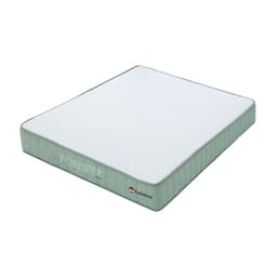 ที่นอน รุ่นฟอเรสต์เตอร์ ขนาด 6 ฟุต หนา 8 นิ้ว - สีขาว/เขียว