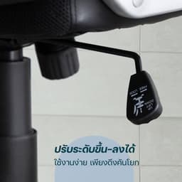 โฮมฮัก เก้าอี้สำนักงาน รุ่นเชสเตอร์ - สีดำ