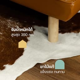 โฮมฮัก โซฟา PVC ปรับนอน รุ่นลาสเซน - สีน้ำตาล