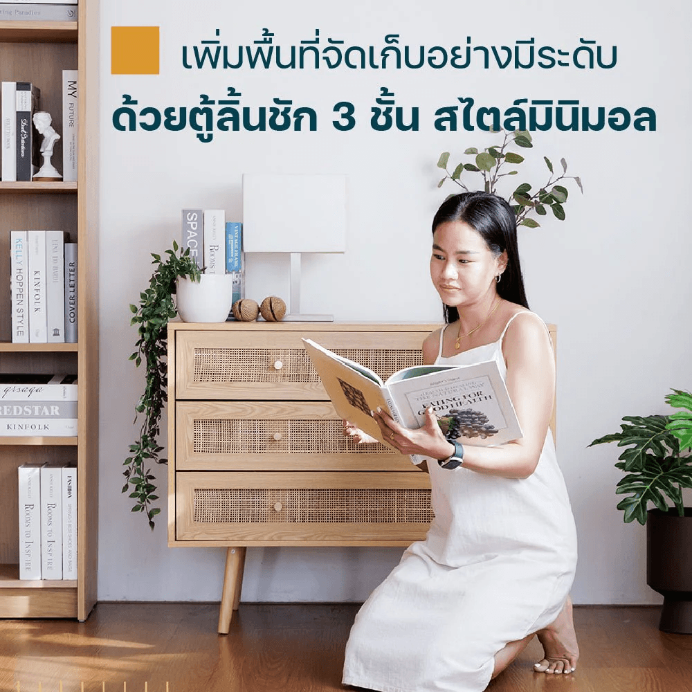 โฮมฮัก ตู้ลิ้นชัก 3 ชั้น - สีธรรมชาติ